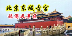 黑丝美女被日到嗷嗷叫中国北京-东城古宫旅游风景区